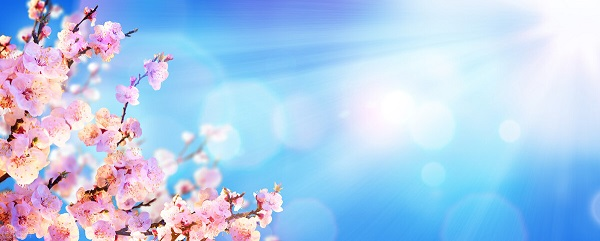 戰(zhàn)疫情，北京韋林公司全體員工齊心協(xié)力共克時艱！